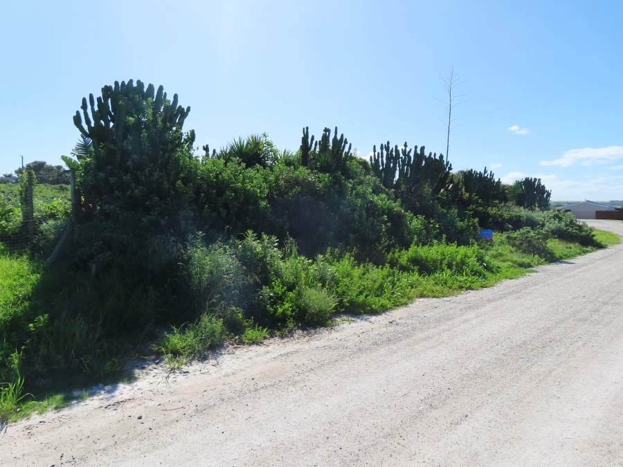 0 Bedroom Property for Sale in Forest Downs Eastern Cape